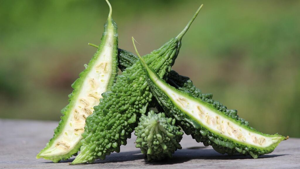 Bitter melon in Bengali